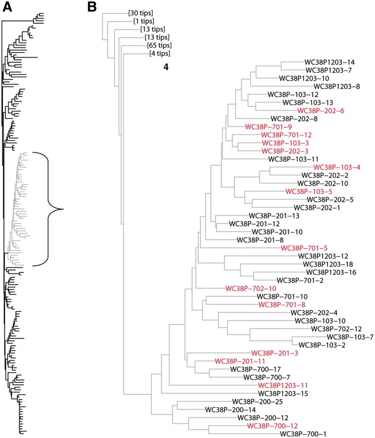 FIG. 3.