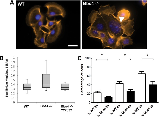 Figure 3.