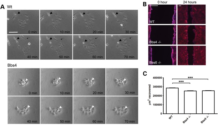 Figure 1.