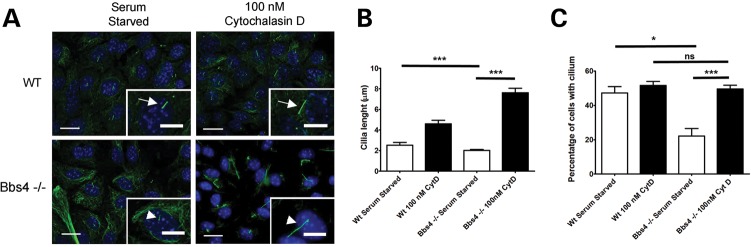 Figure 6.