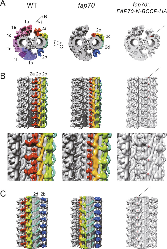 Fig. 4.