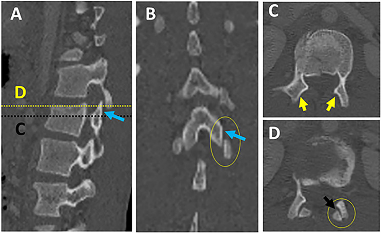 Figure 12.