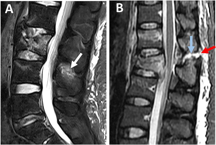 Figure 7.