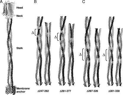 FIG. 2.