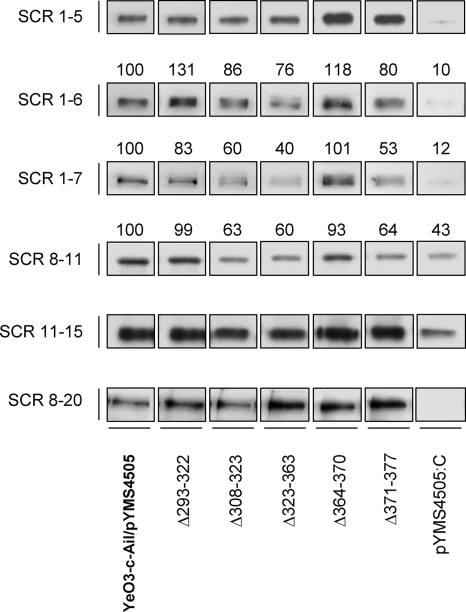 FIG. 6.