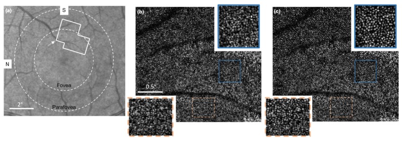 Fig. 10