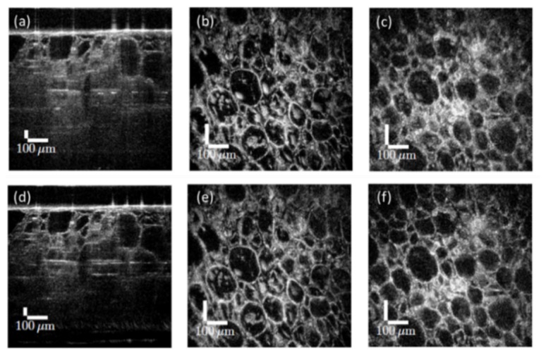 Fig. 7