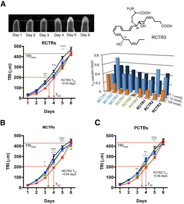 Figure 7