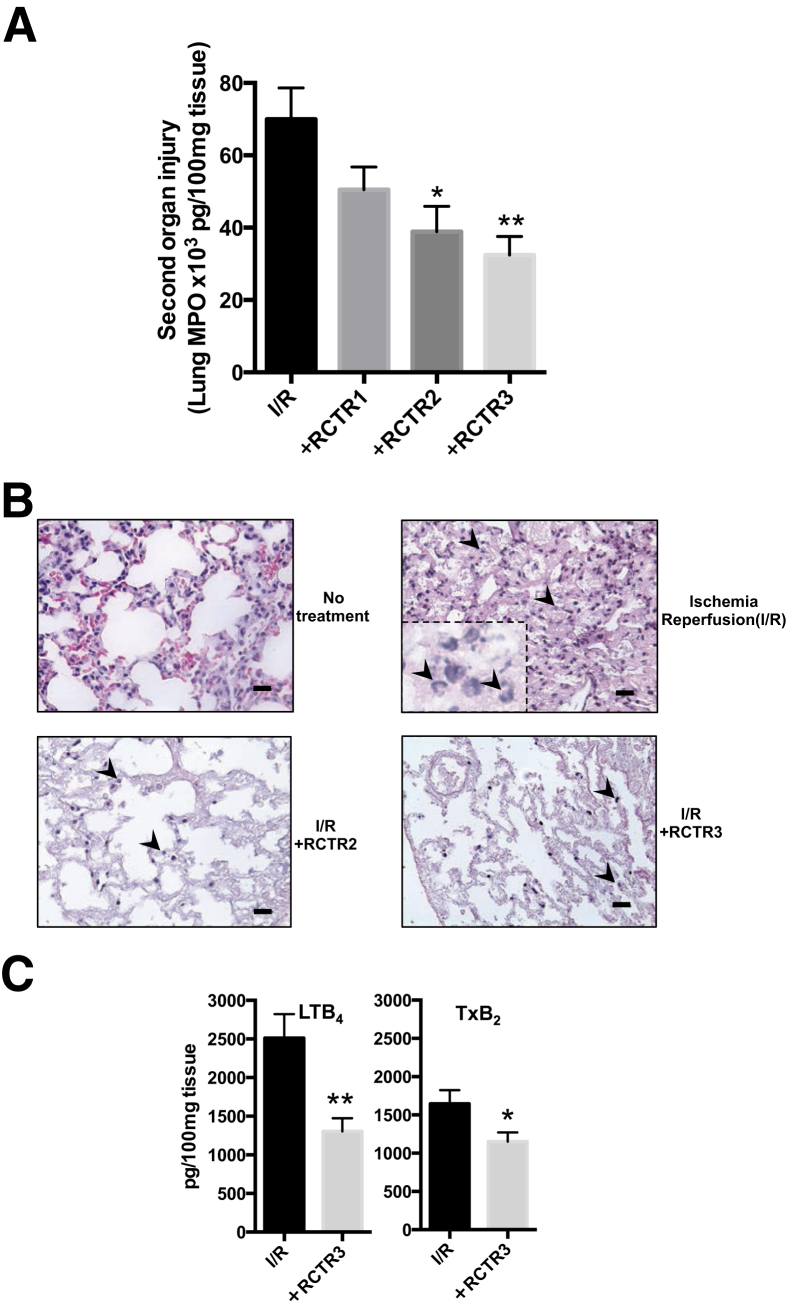 Figure 5