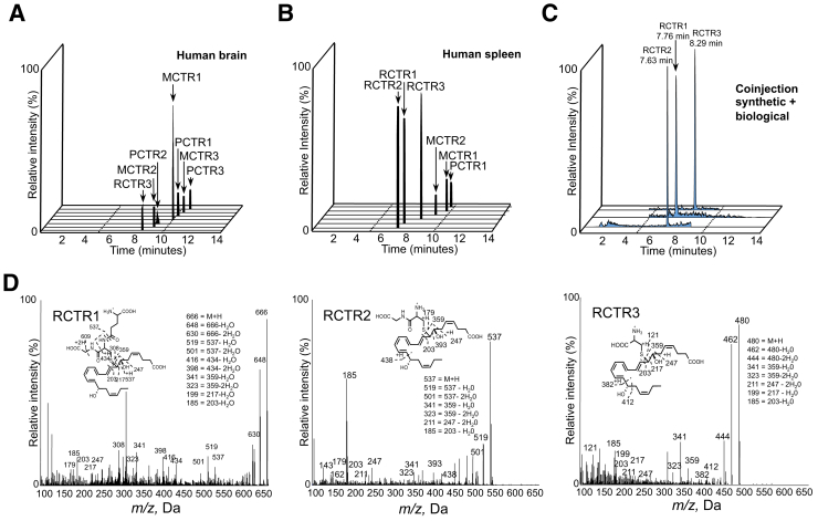 Figure 1