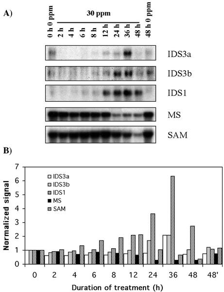 Figure 6