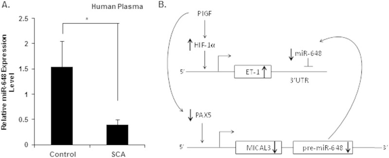 FIG 8