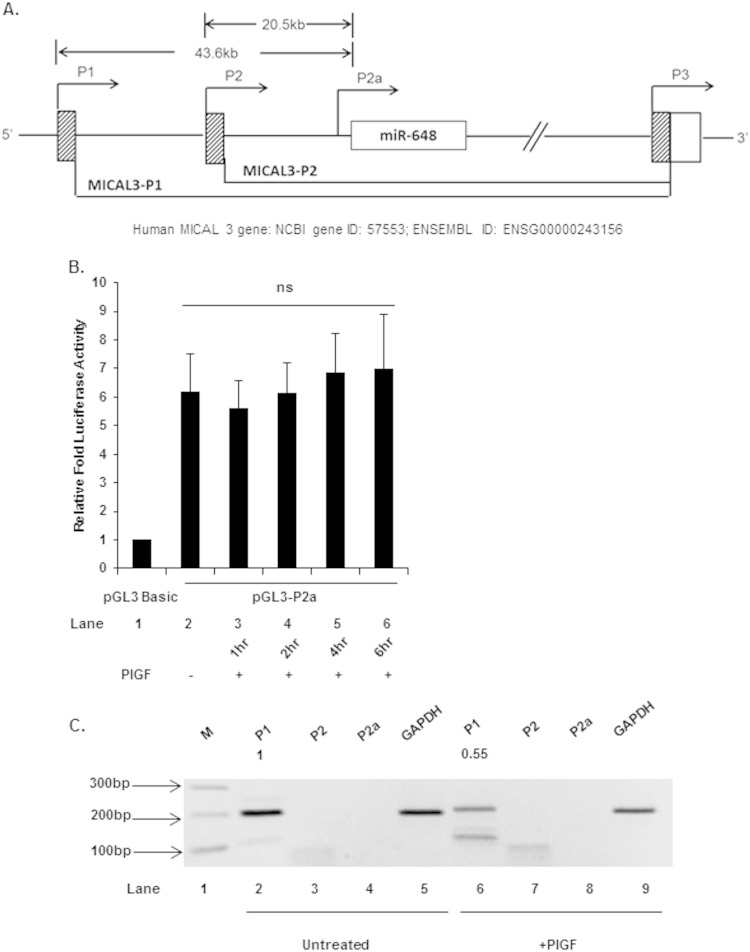 FIG 5