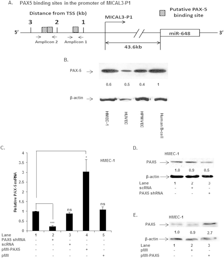 FIG 6