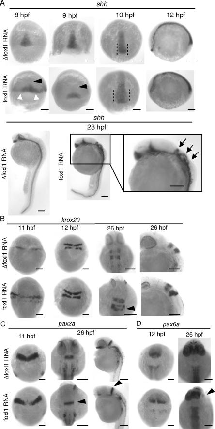 FIG. 7.