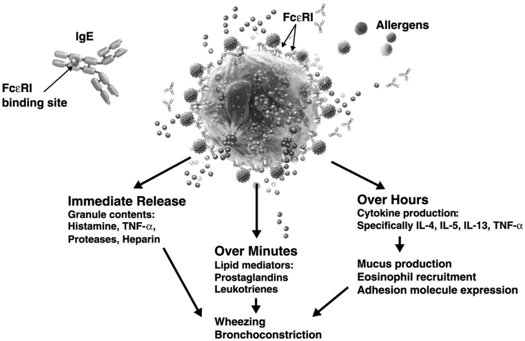 Figure 2)