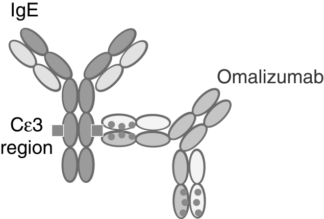 Figure 4)