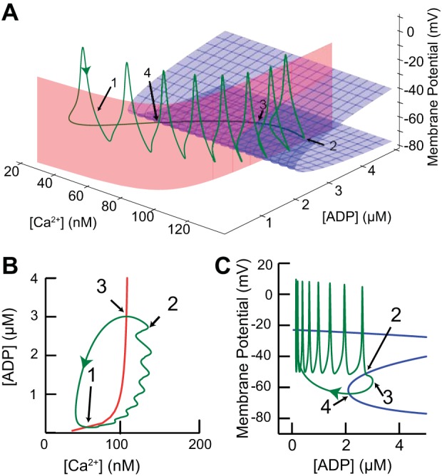 Fig. 6.