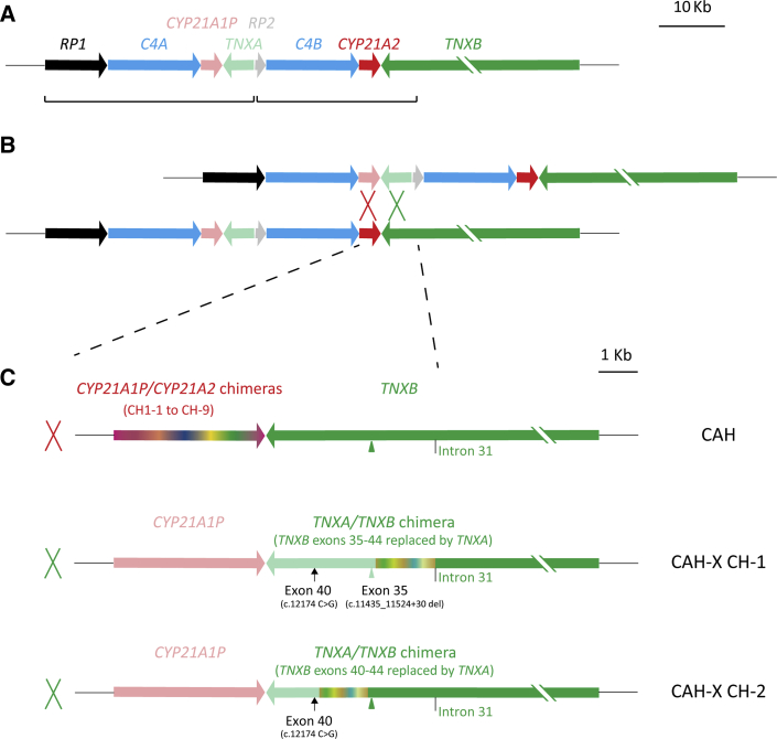 Figure 1