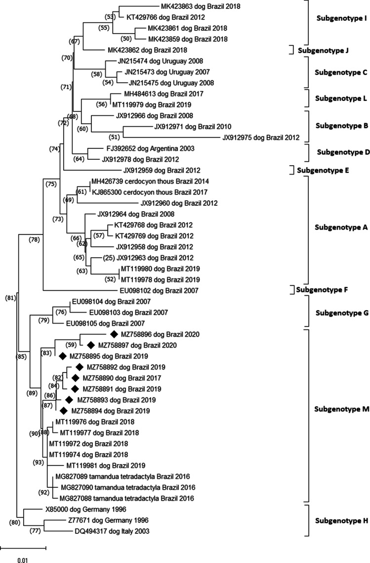 Fig. 2