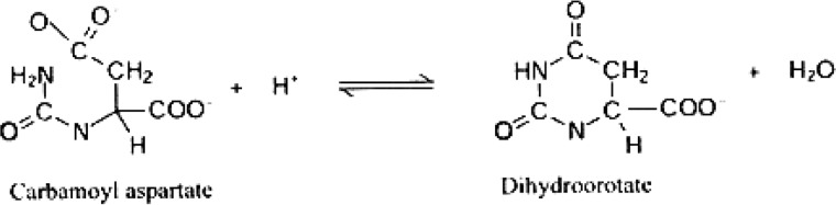 REACTION 1