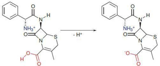 graphic file with name CHEM-28-0-g002.jpg