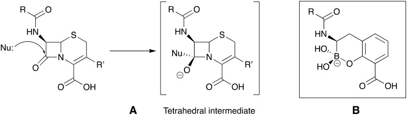 Fig. 10