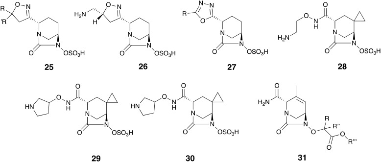 Fig. 8