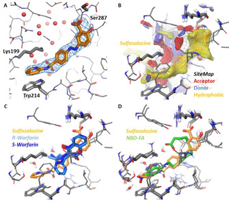 Figure 6