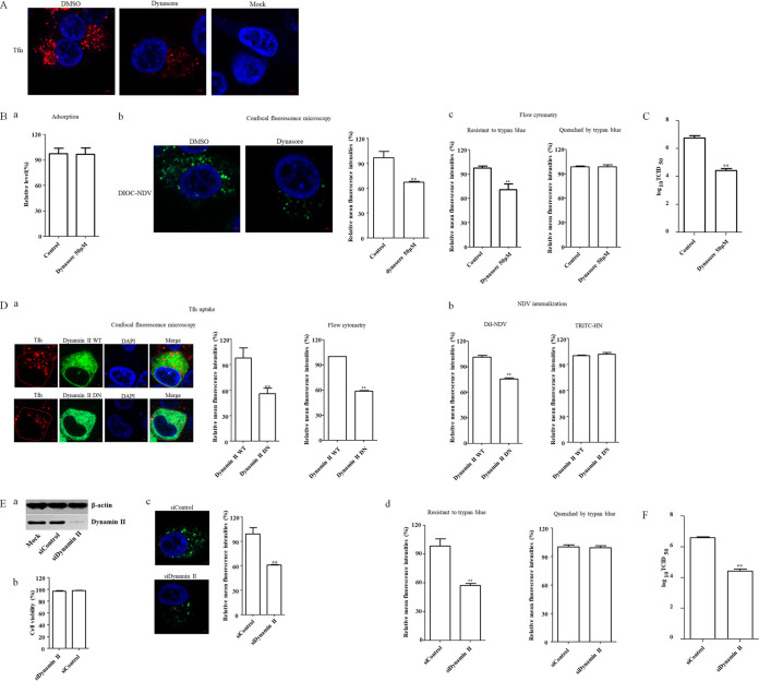 FIG 3