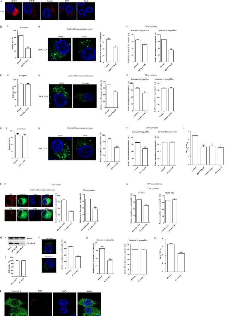 FIG 5