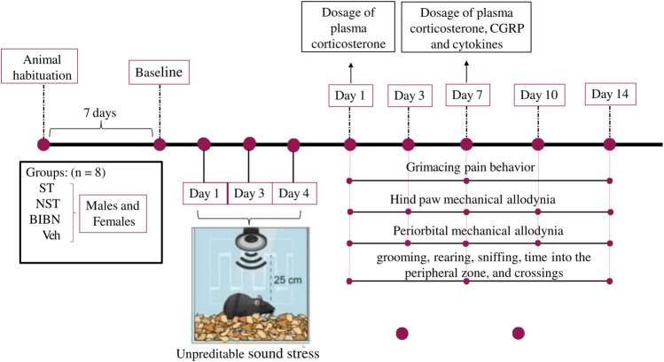 FIGURE 1