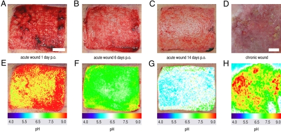 Fig. 4.