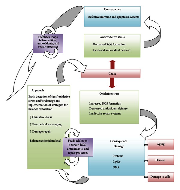 Scheme 2