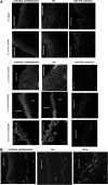 <b>FIG. 3.</b>