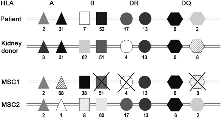 FIGURE 2