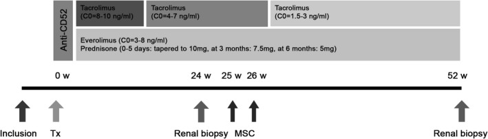 FIGURE 1