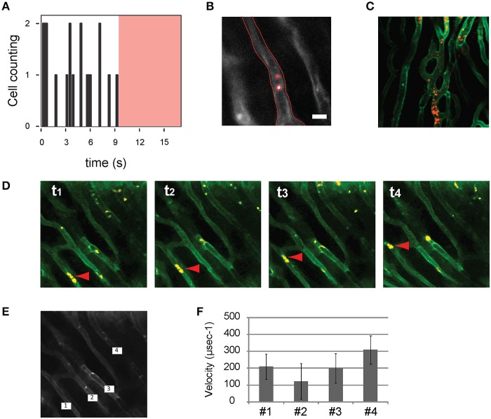 Figure 15