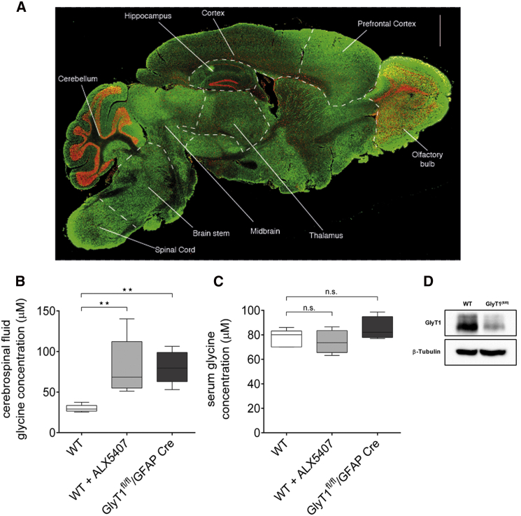 Figure 3