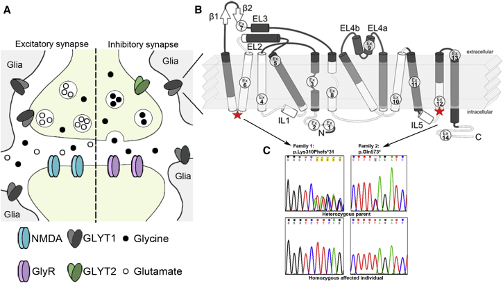 Figure 2