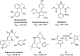 Fig. 8