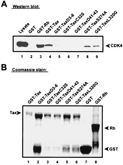 FIG. 8.