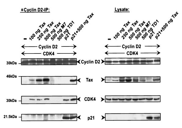 FIG. 11.