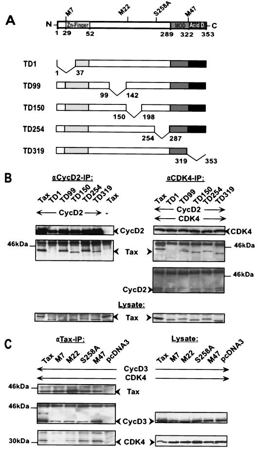 FIG. 7.