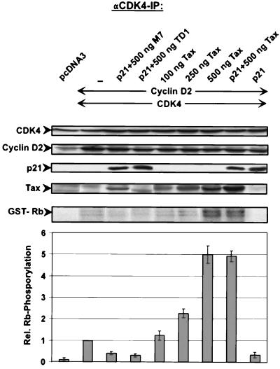 FIG. 10.