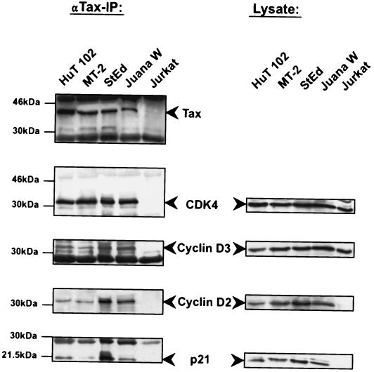 FIG. 5.