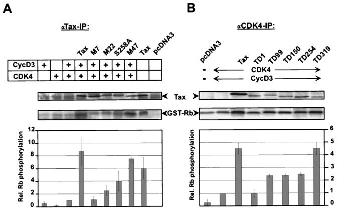 FIG. 9.