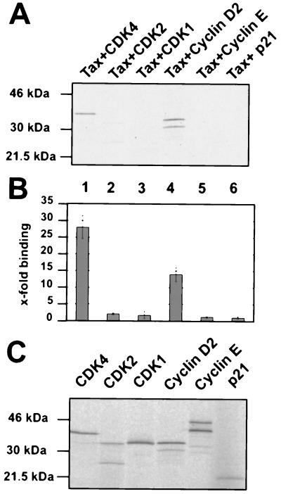 FIG. 4.