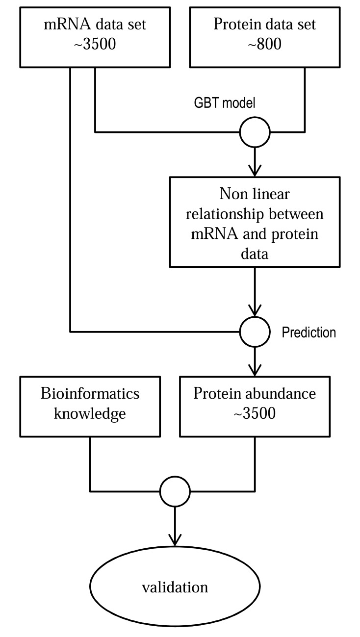 Fig. (3)