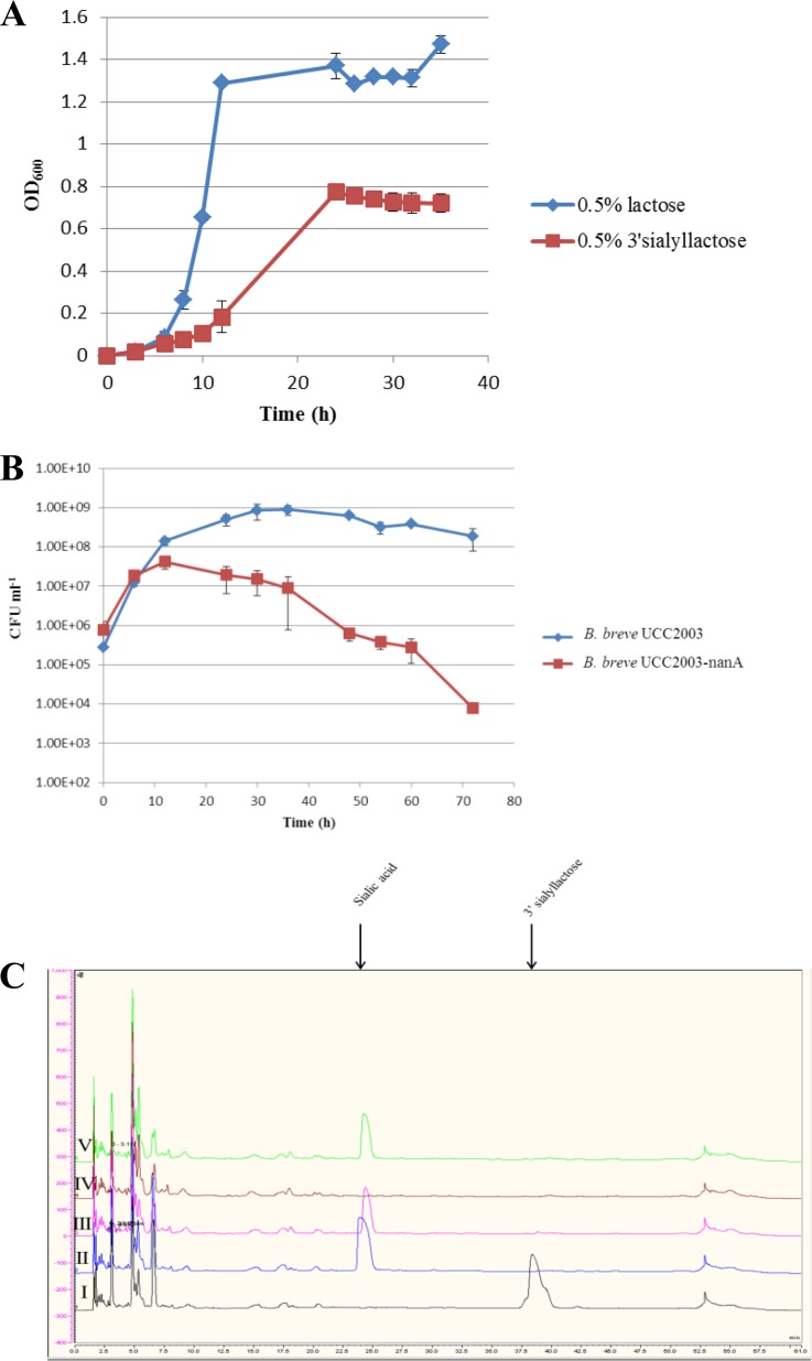 FIG 6